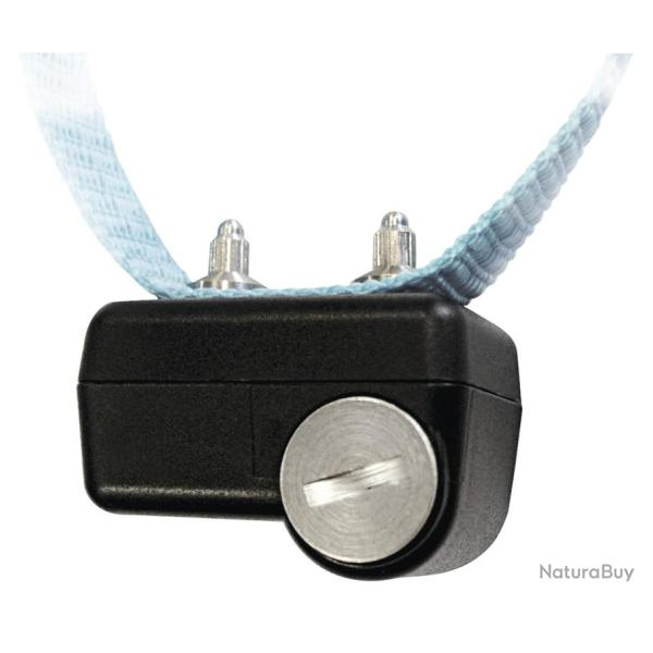 CANICALM FIRST - NUM'AXES