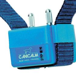 CANICALM - NUM'AXES