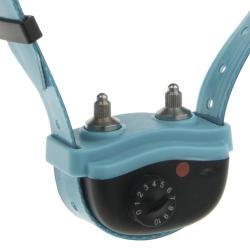 CANICALM EXCEL - NUM'AXES