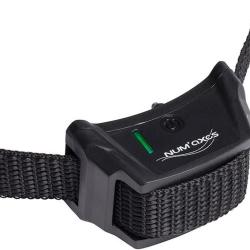 COLLIER SUP. CANIFUGUE 2015 - NUM'AXES