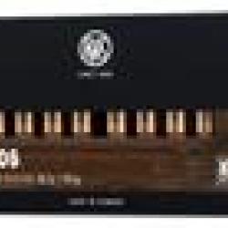 KS - RWS 30-06, 10.7 g