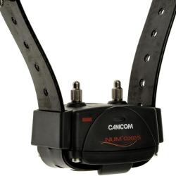 Colliers suppl&eacute;mentaire Canicom Num'axe noir