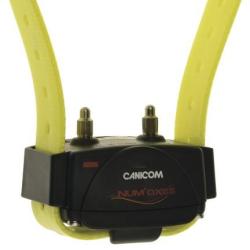 Colliers suppl&eacute;mentaire Canicom NUM'AXES jaune