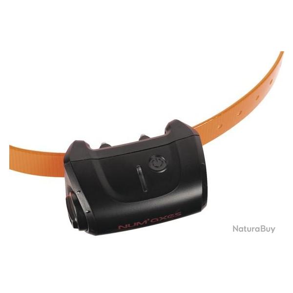 COLLIERS SUP. CANICOM 5 - NUM'AXES orange