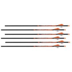 Fl&egrave;ches en carbone Ravin 400 pour arbal&egrave;tes Ravin