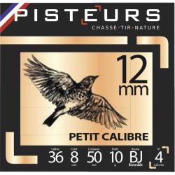 Cartouches Pisteurs cal.12mm plomb