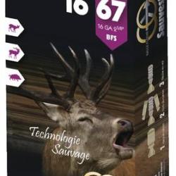 CAL 16/67 - BFS - SAUVESTRE