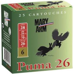 CAL 28 70 PUMA 26 MARY ARM