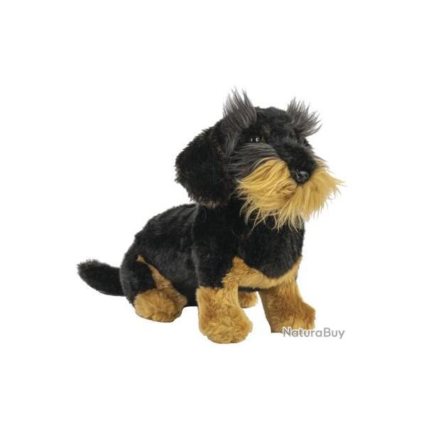 TECKEL � POILS DURS NATURE DE BRENNE 28 CM