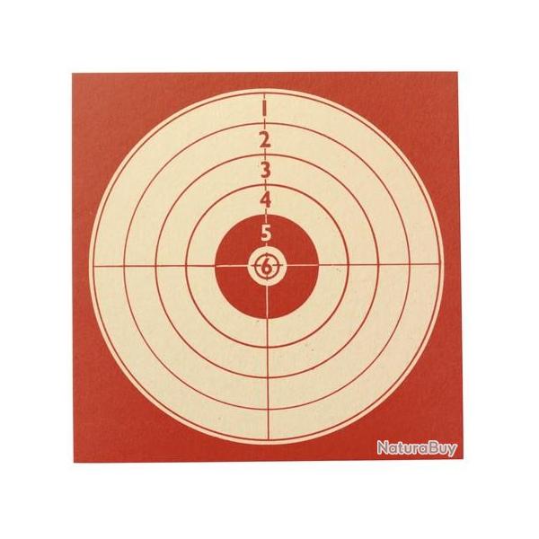 PAQUET 100 CIBLES 10X10