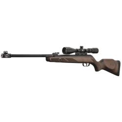 Pack HUNTER 440 AS - GAMO + LUNETTE GAMO 3-9X40 WR