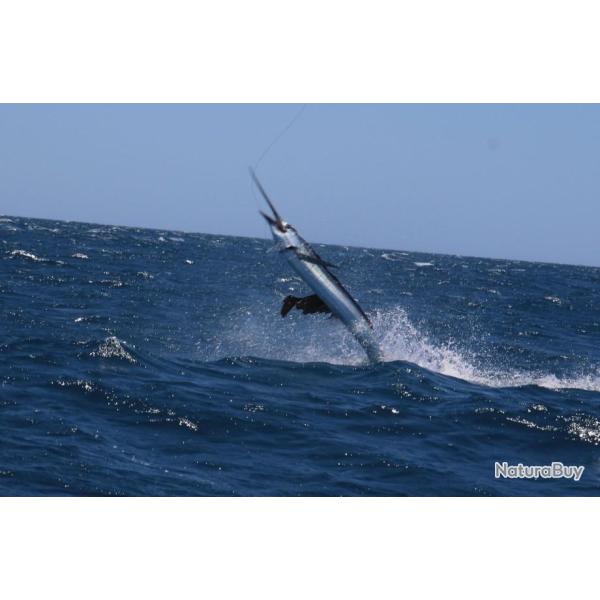 MADAGASCAR - P�CHE AU GROS