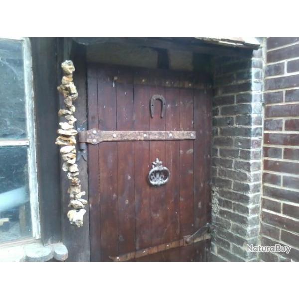 Lhapsa Thib�tain - voir la description - Cabinet de curiosit�s