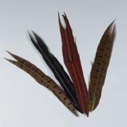 QUEUE DE FAISAN JMC Naturel