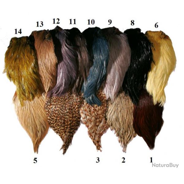 COUS DE COQS INDIENS TOP GRADE JMC 1-Roux