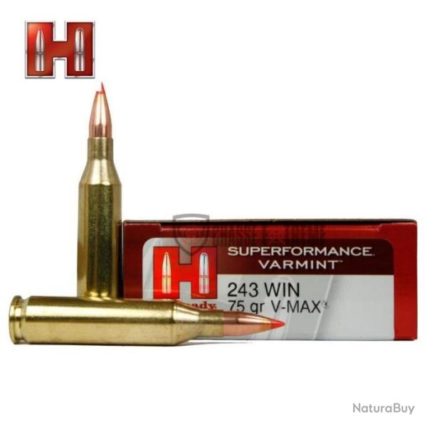 20 Munitions HORNADY Superformance Varmint 243 Win 75 Gr V-Max