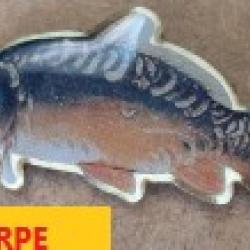 PIN'S "CARPE" couleur peint &agrave; la main 4.5 cms     PINCAR