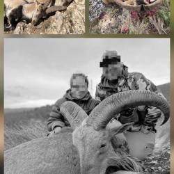 IBEXS ESPAGNE 2025/2026