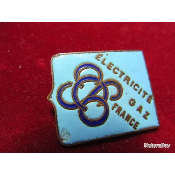 insigne pucelle taille comme un insigne militaire  EDF GDF lectricit  gaz de France email