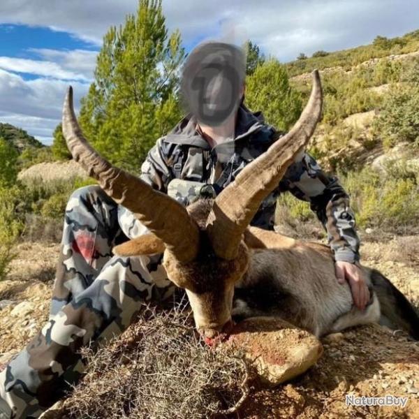 ESPAGNE IBEX 2025/2026