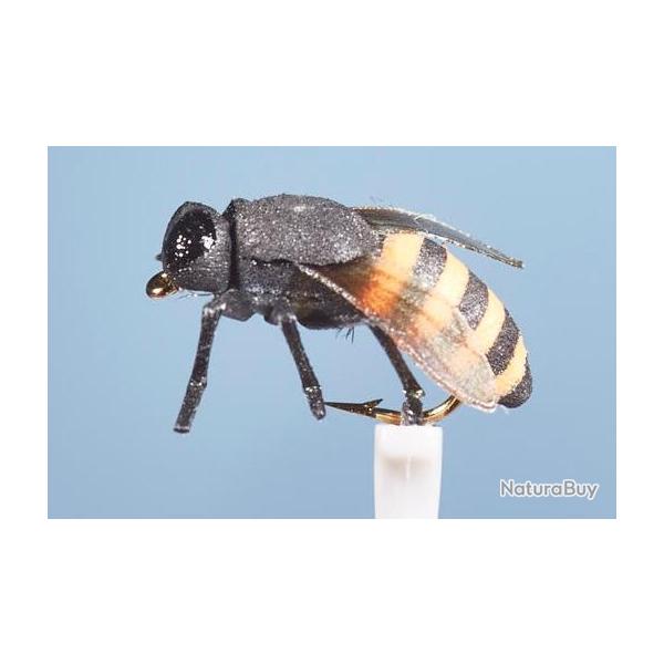 MOUCHE ABEILLE H10