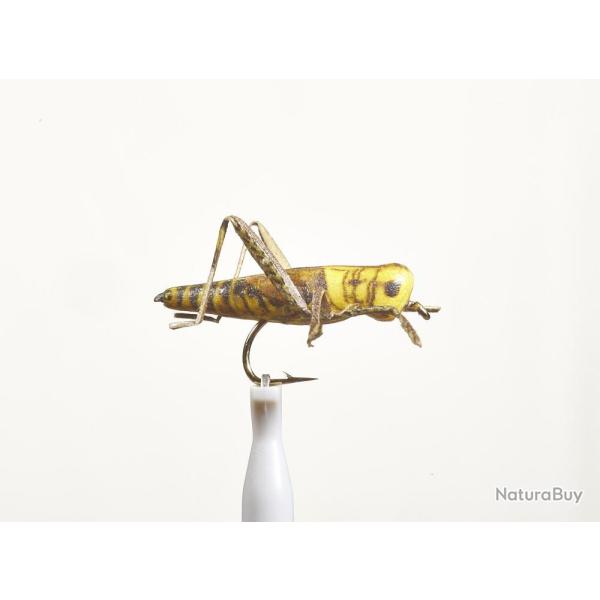 MOUCHE SAUTERELLE 24 H10