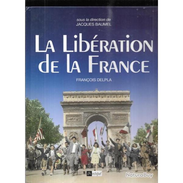 la lib�ration de la france de fran�ois delpla -jacques baumel