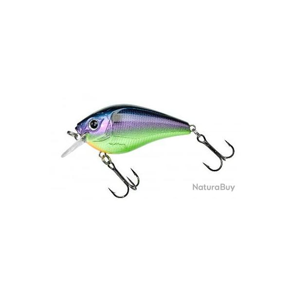 KRAKEN 55 FLOTTANT NPC Table rock NPC