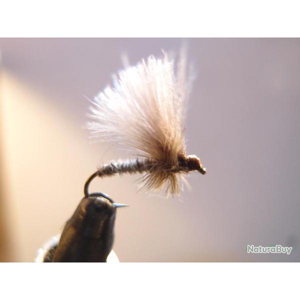 Emergente CDC corps li�vre et buse