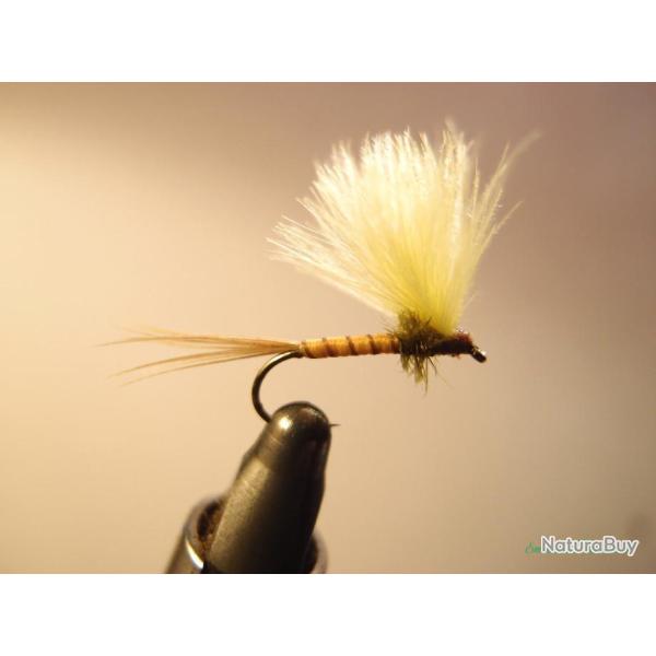 Emergente de mouche de mai en CDC - mouches de p�che artisanales