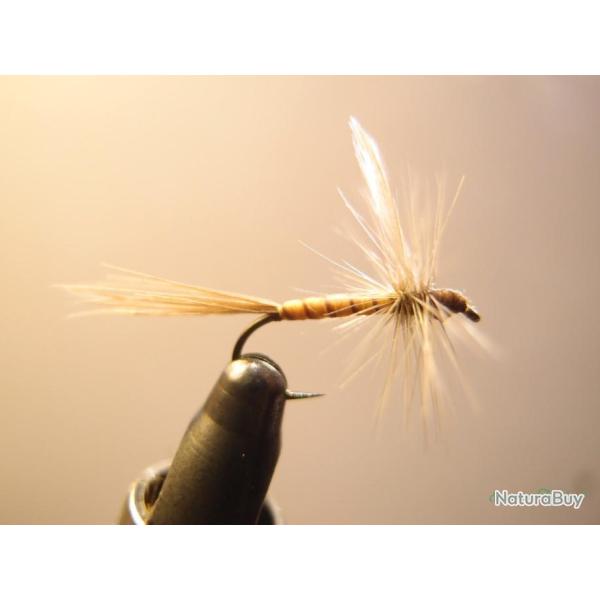 Mouches de mai imago ail�e - mouches de p�che artisanales