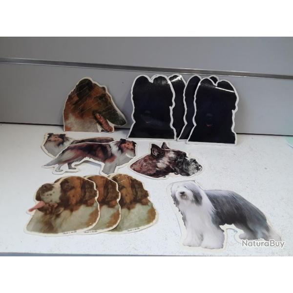 6238 LOT DE 12 AUTOCOLLANTS CHIEN DIVERSE RACE NEUF