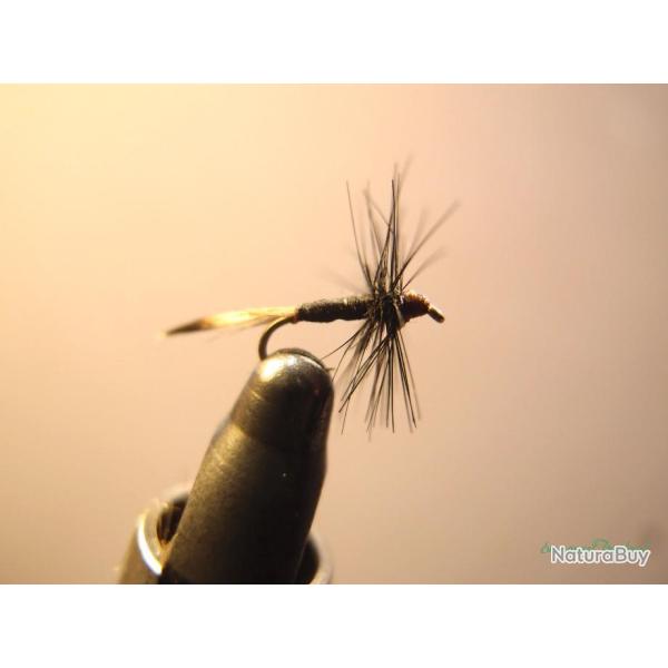 Araign�e noire moucherons - mouches de p�che artisanales