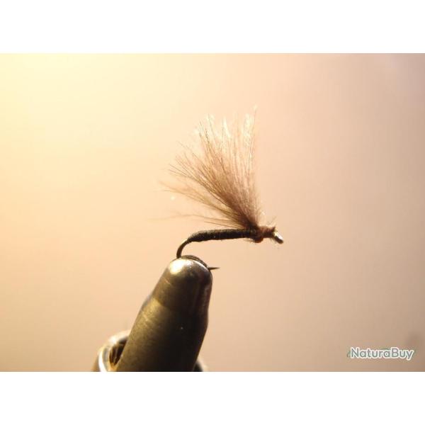 Voilier CDC moucherons - mouches de p�che artisanales