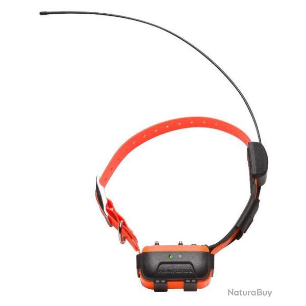 Collier seul Canicom GPS