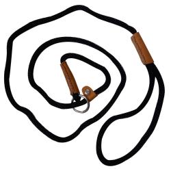 Laisse de dressage noire pour petit chien