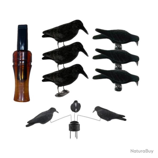 Pack corvid�s start