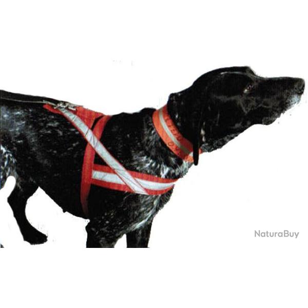 HARNAIS CHIEN REFLECHISSANT ARTUS 2