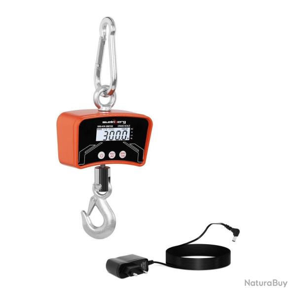 Crochet peseur balance - 300kg / 100g 14_0001231