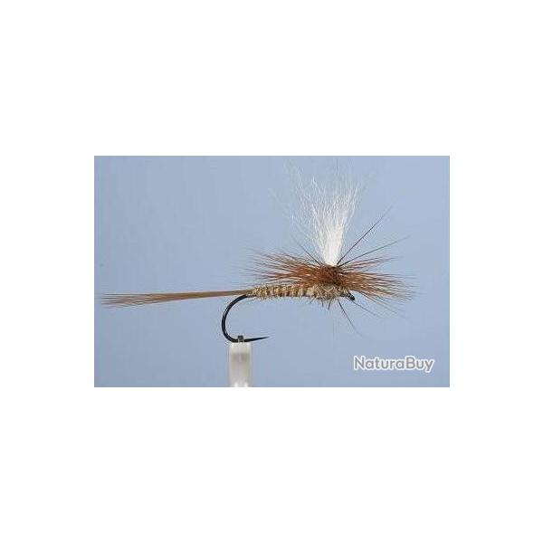 MOUCHE DC 54BL H12 NPC