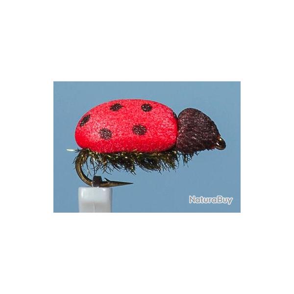 MOUCHE COCCINELLE H14