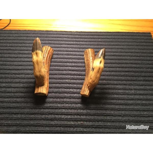 TAXIDERMIES SUPPORT POUR FUSIL