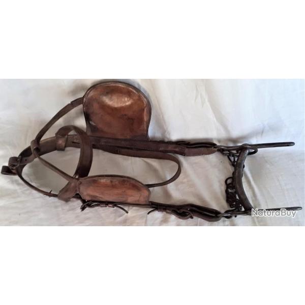 FR310012.a Bride de chevaux d'artillerie WW1