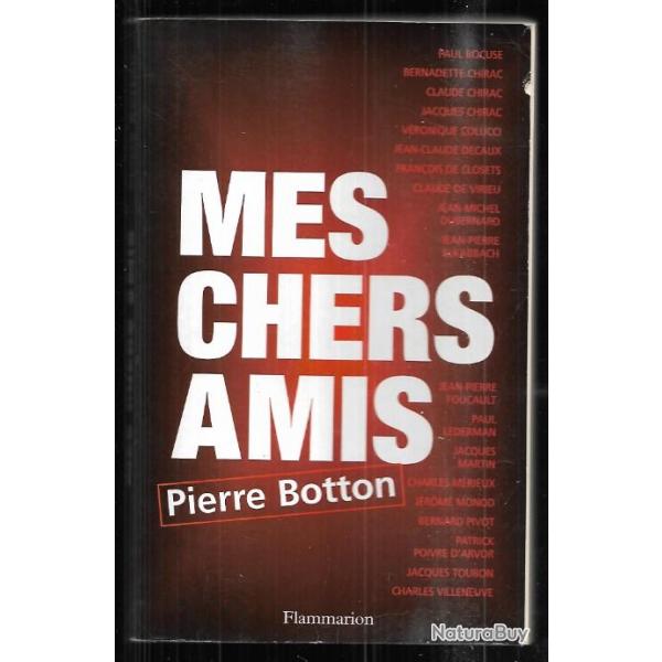 mes chers amis de pierre botton, politique fran�aise