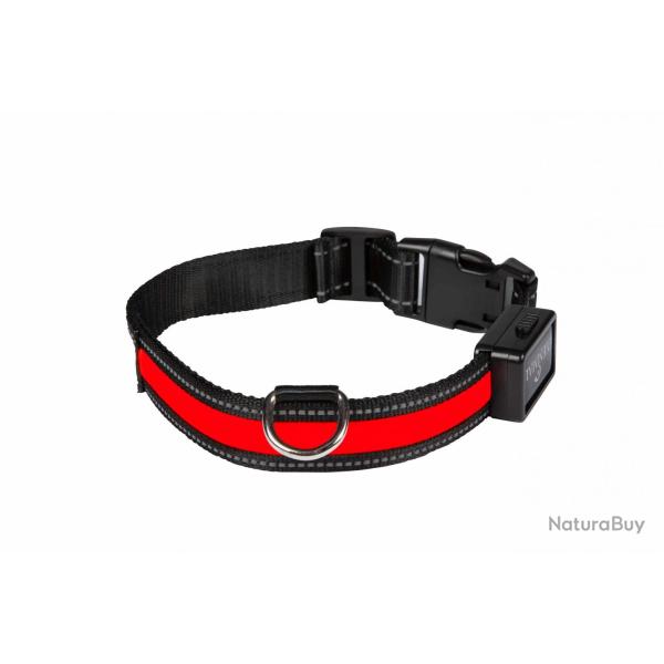 Collier Lumineux Num'Axes Eyenimal Rechargeable-M