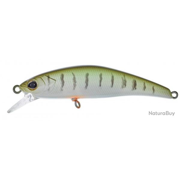 TRICOROLL 53 SHW Vairon