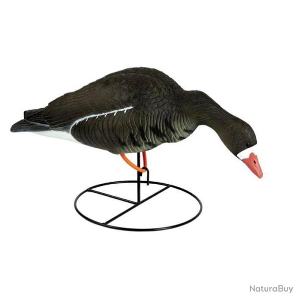 Appelant Stepland Oie riseuse sur pied HD pench�e - 1