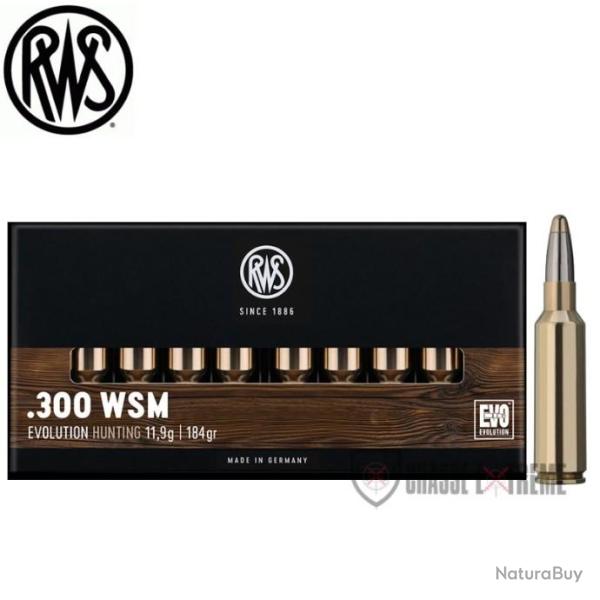 20 Munitions RWS Cal 300 WSM 184gr Evolution