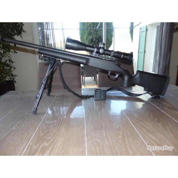 Armeca custom Remington 700 crosse Grayboe Renegade