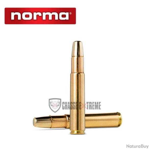 10 Munitions NORMA Solide Cal 505 Gibbs 540gr